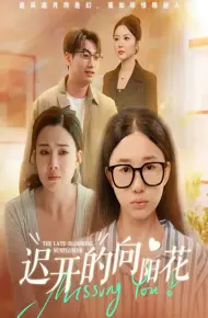 迟开的向阳花