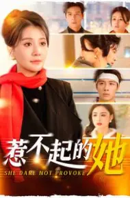 惹不起的她