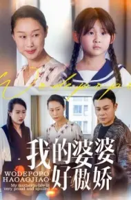 我的婆婆好傲娇