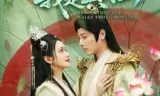 无人知我是真仙