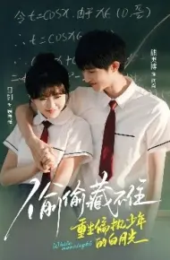 偷偷藏不住重生偏执少年的白月光