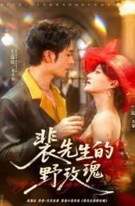 裴先生的野玫瑰