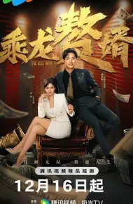乘龙赘婿