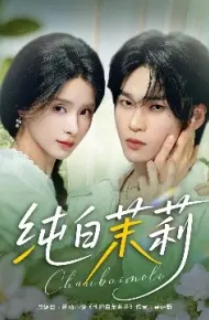 纯白茉莉