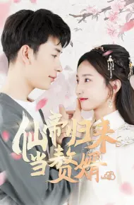 仙帝归来当赘婿