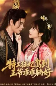 特工狂妃驾到，王爷乖乖躺好