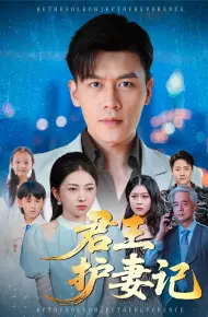 君王护妻记