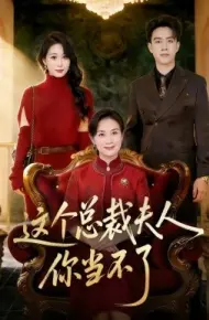 这个总裁夫人，你当不了