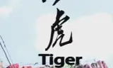 老虎