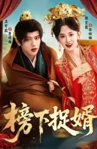 榜下捉婿