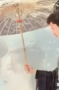 重生复仇之王妃她不好惹