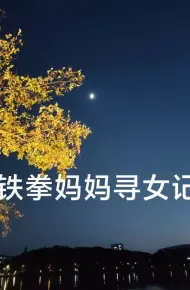铁拳妈妈寻女记