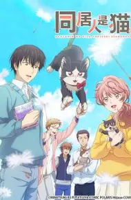 同居人是猫