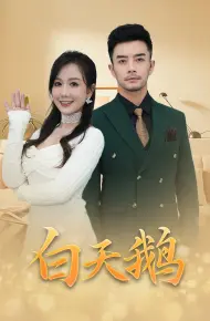白天鹅