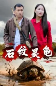 石纹灵龟