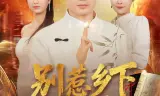 别惹乡下女婿