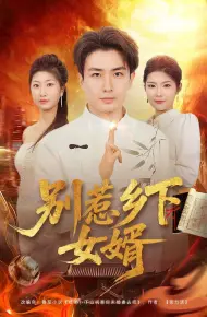 别惹乡下女婿