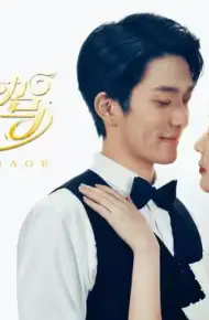 闪婚代驾