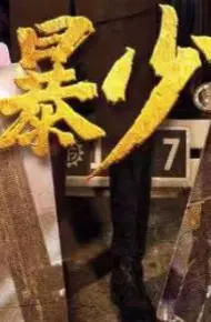 狂暴少帅
