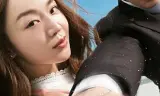 勇敢的市民