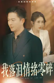 我落泪情绪零碎