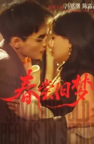 春尝旧梦