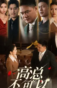 高总不可以