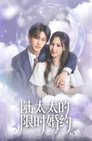 陆太太的限时婚约