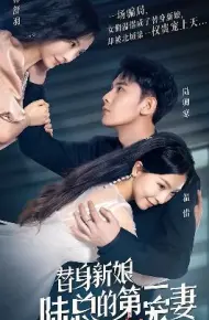 替身新娘：陆总的第一宠妻