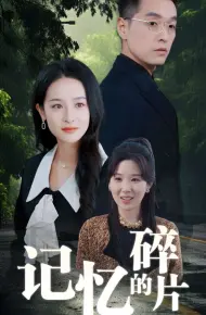 记忆的碎片
