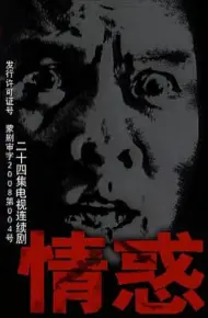 情惑2009