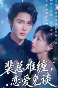 裴总难缠，恋爱免谈