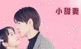 冷面宫少的小甜妻