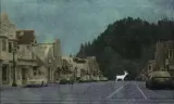 亮瀑镇