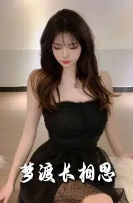 梦度长相思