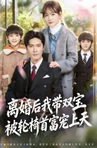 离婚后我带双宝被轮椅首富宠上天（离婚后，我被轮椅首富宠上天）