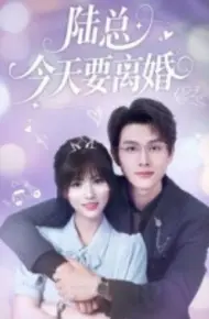 陆总今天要离婚