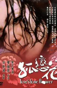 孤恋花