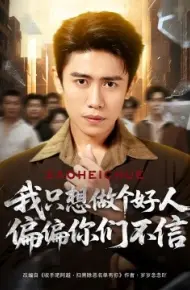 我只想做个好人偏偏你们不信
