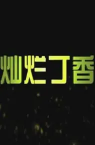 灿烂丁香