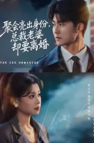 聚会亮出身份，总裁老婆却要离婚