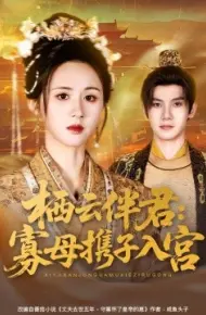 栖云伴君：寡母携子入宫