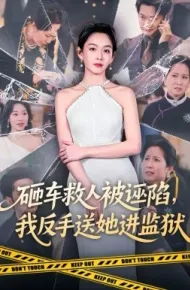 砸车救人被诬陷，我反手送她进监狱