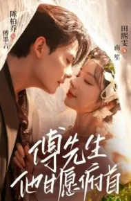 傅先生他甘愿俯首