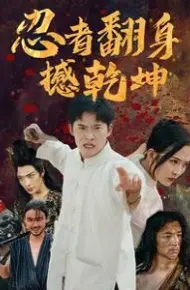 忍者翻身撼乾坤
