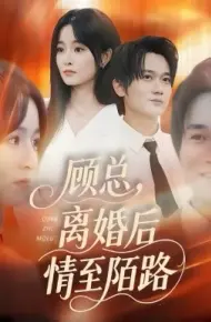 顾总，离婚后情至陌路