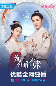 为有暗香来