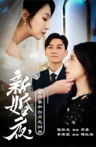 新婚夜,妻子要和白月光洞房