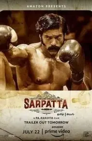 拳族