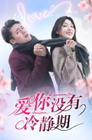 爱你没有冷静期
